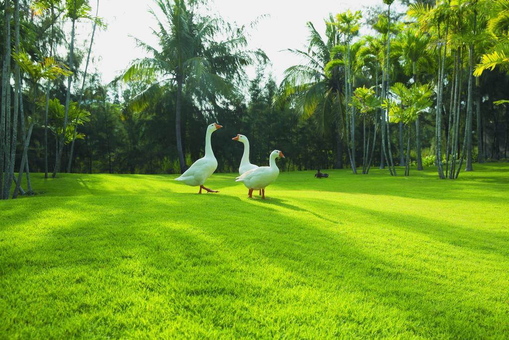 Sanctuary Residential Resort Community Vung Tau Exterior photo